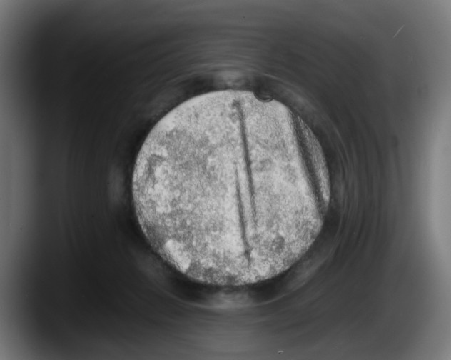 X0000087560270200705251806