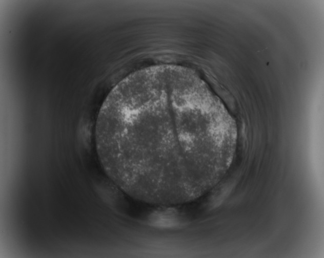 X0000087560271200705251806