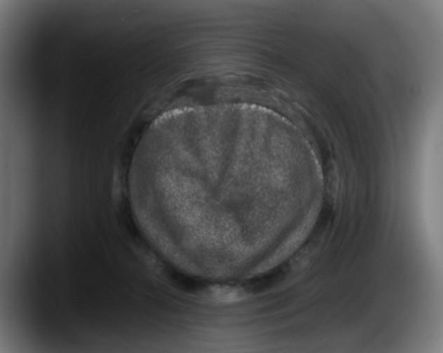X0000087560272200705251806