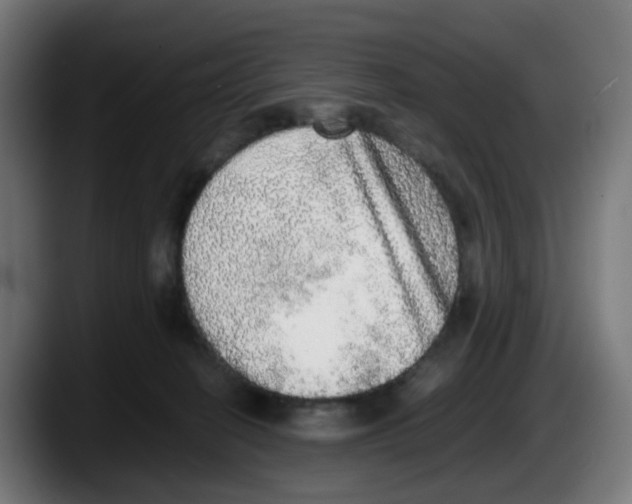 X0000087560274200705251806