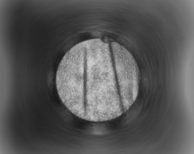 X0000087560275200705251806