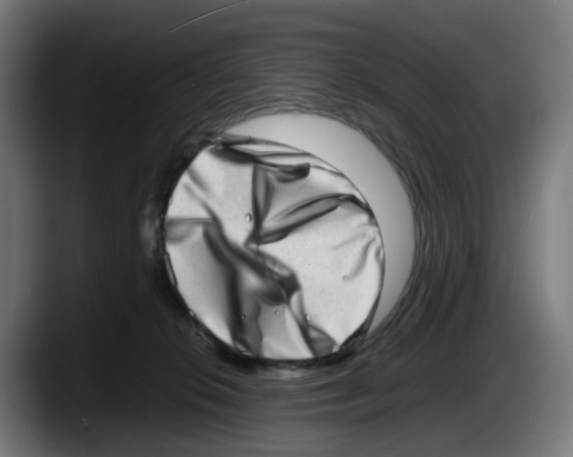 X0000087560276200705251806