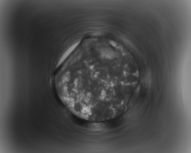 X0000087560277200705251806