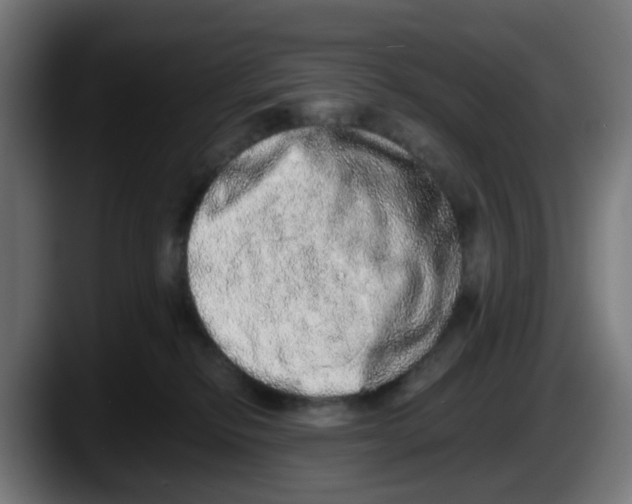X0000087560278200705251806