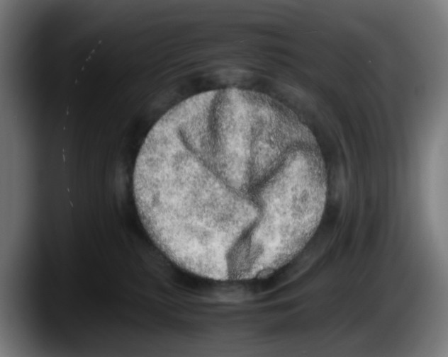X0000087560279200705251806