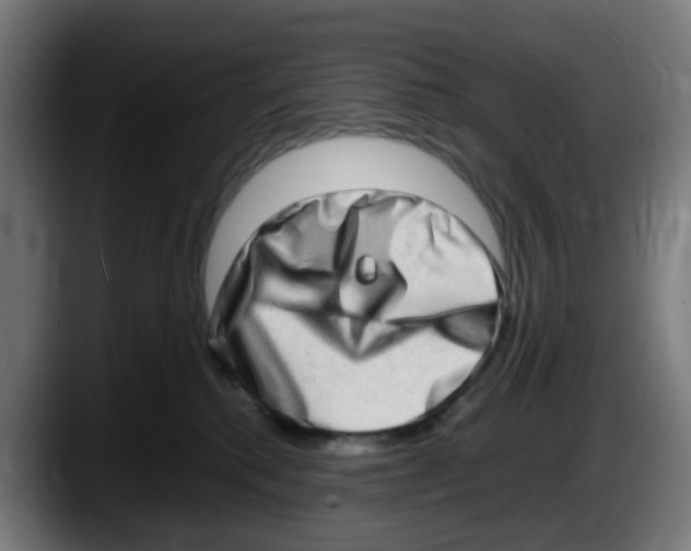 X0000087560280200705251806
