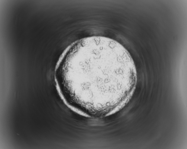 X0000087560281200705251806