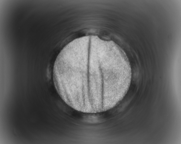 X0000087560282200705251806