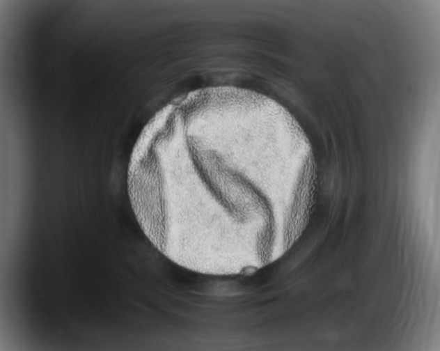 X0000087560283200705251806