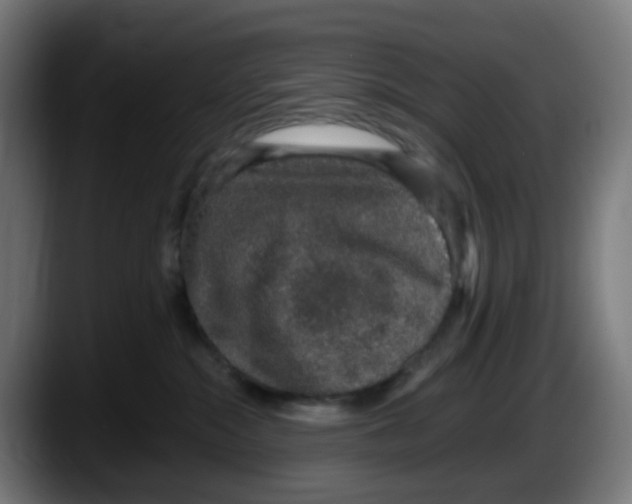 X0000087560284200705251806