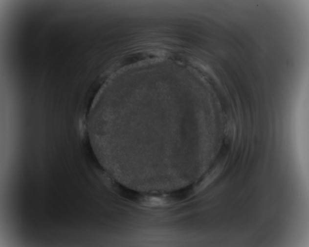X0000087560285200705251806