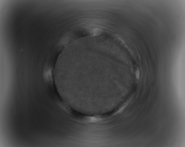 X0000087560286200705251806