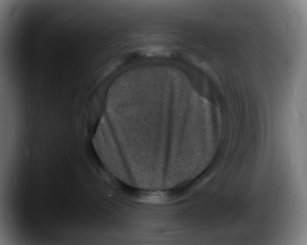 X0000087560288200705251806