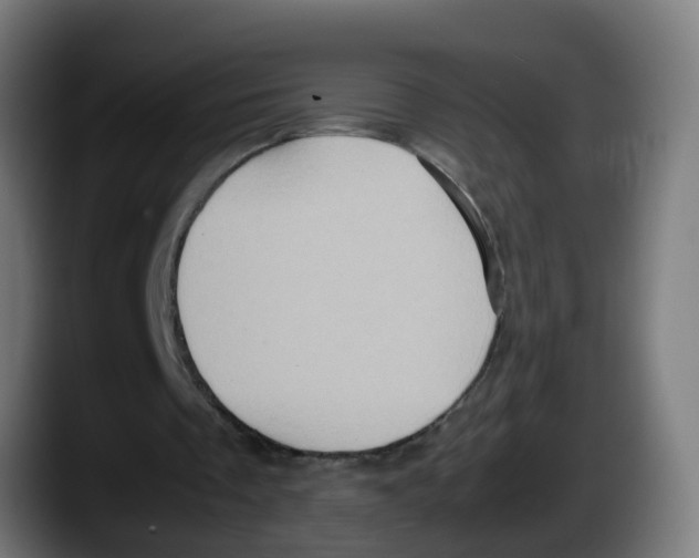 X0000087560289200705251806