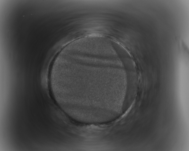 X0000087560290200705251806