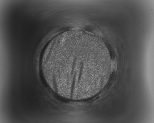 X0000087560291200705251806