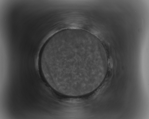 X0000087560292200705251806