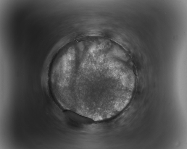 X0000087560293200705251806