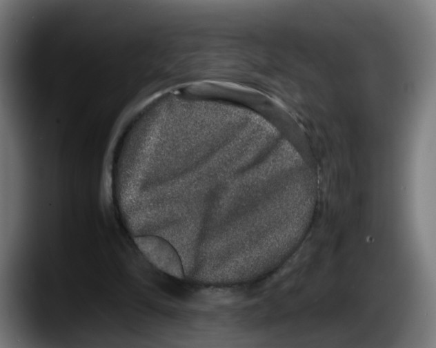 X0000087560294200705251806