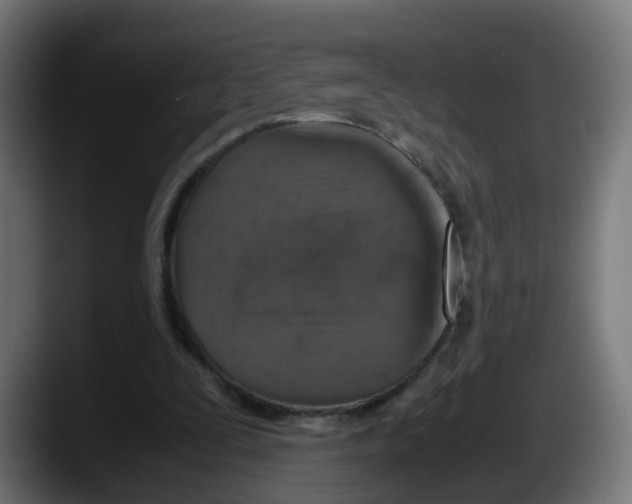 X0000087560295200705251806