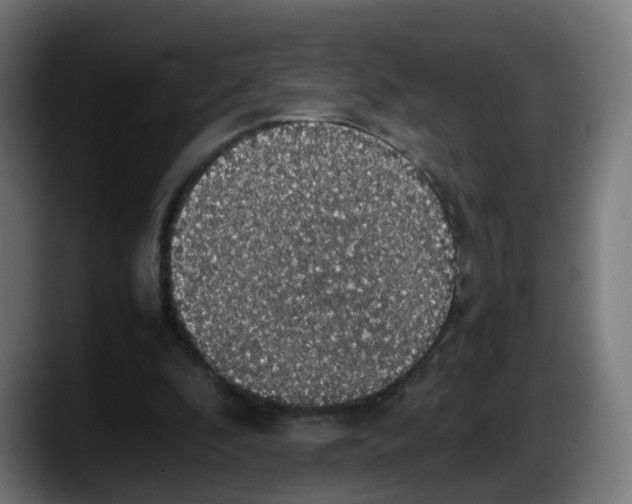 X0000087560296200705251806