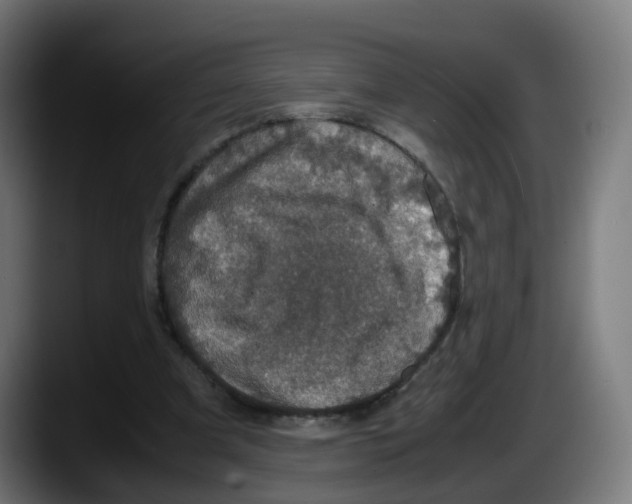 X0000087560297200705251806