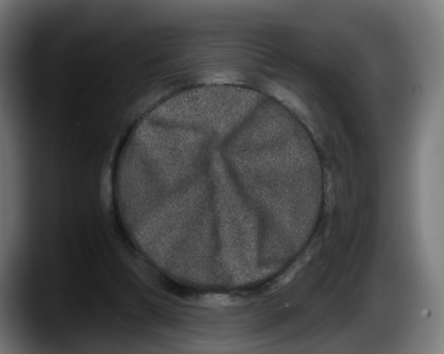X0000087560298200705251806