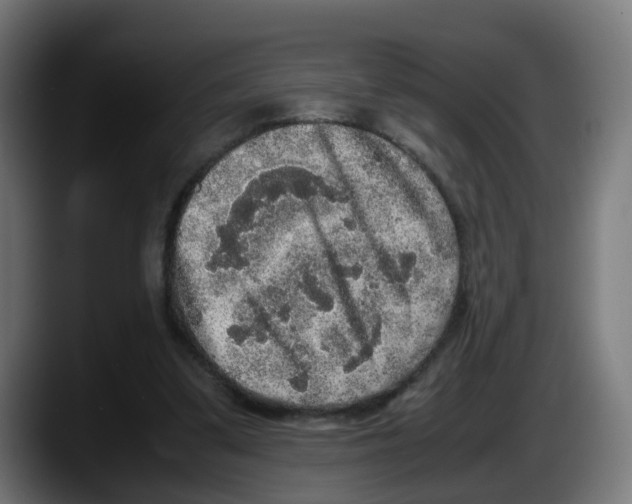 X0000087560299200705251806