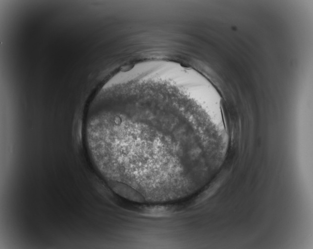 X0000087560301200705251806
