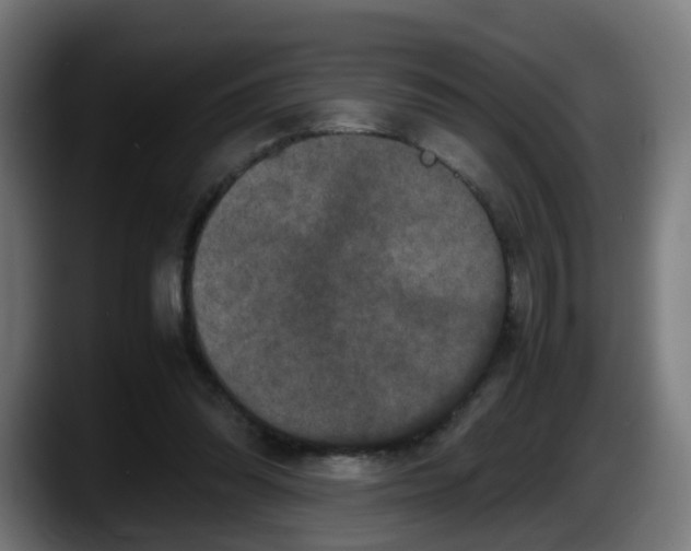 X0000087560302200705251806