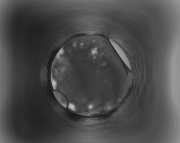 X0000087560303200705251806