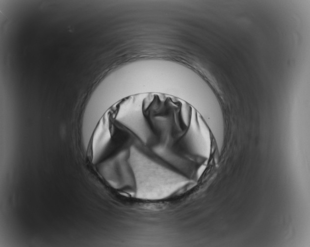X0000087560305200705251806