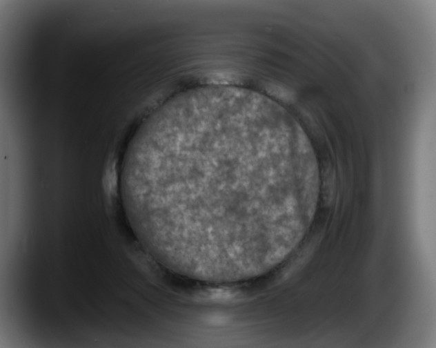 X0000087560310200705251805