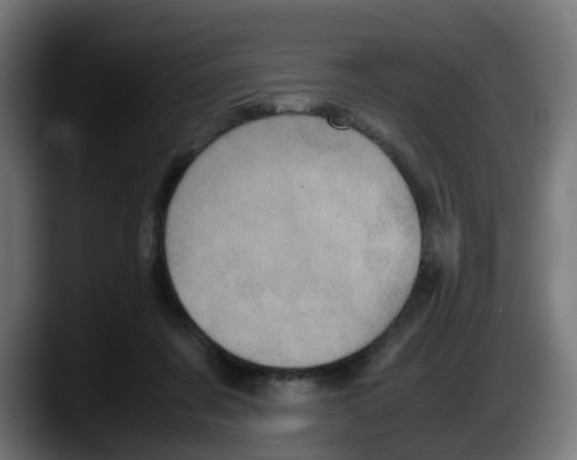 X0000087560311200705251805