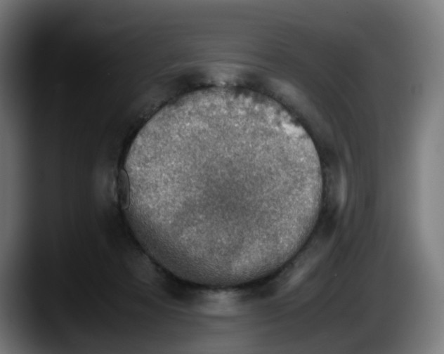 X0000087560313200705251805