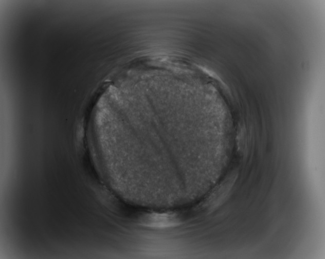 X0000087560314200705251805