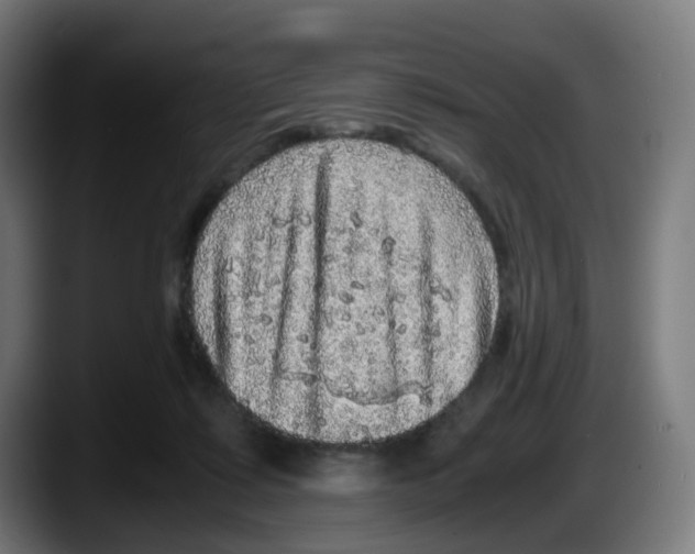 X0000087560315200705251805