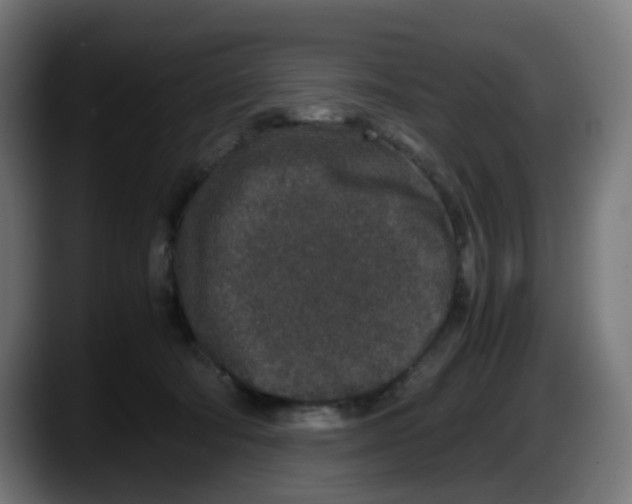 X0000087560322200705251805