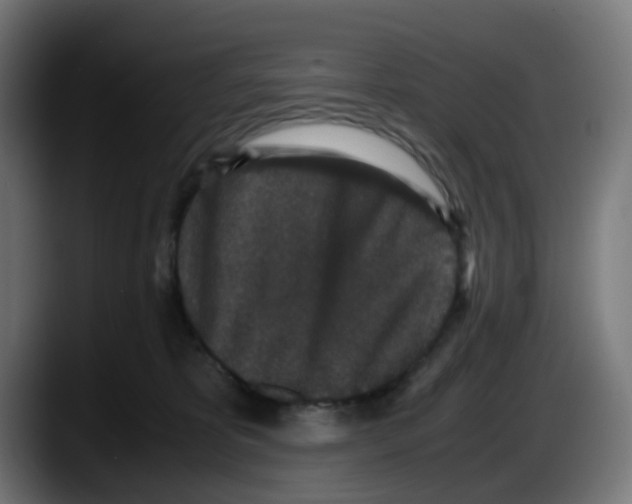 X0000087560325200705251805
