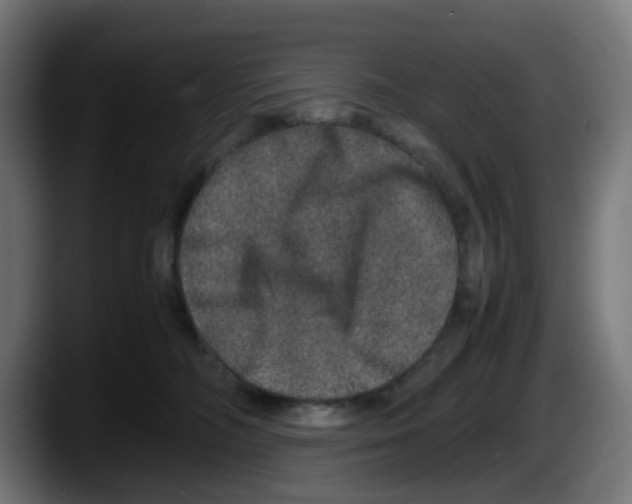X0000087560326200705251805