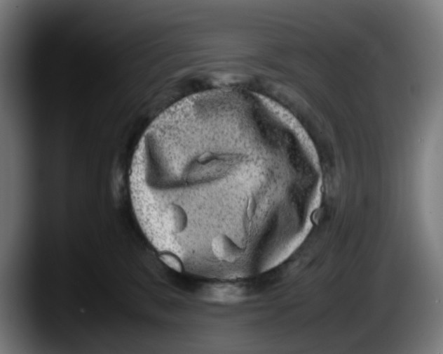 X0000087560327200705251805
