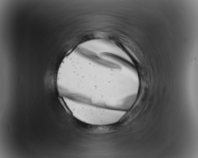 X0000087560329200705251805