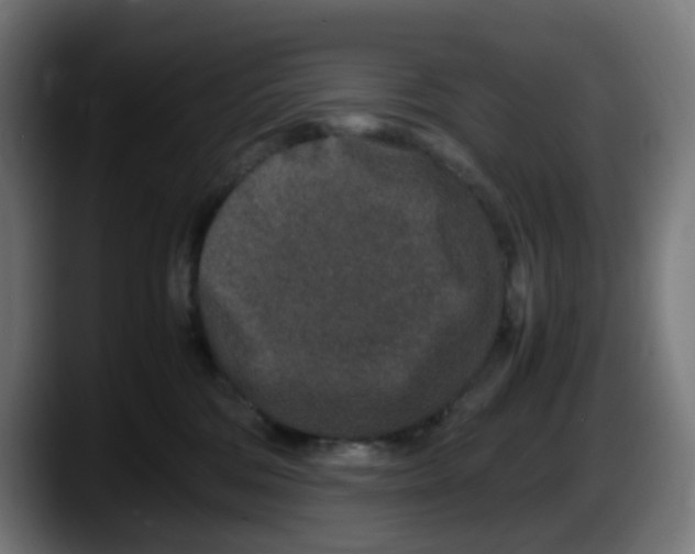 X0000087560330200705251805