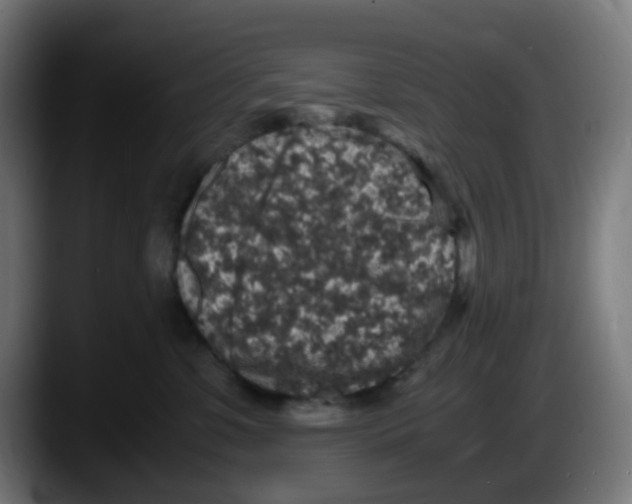 X0000087560331200705251805