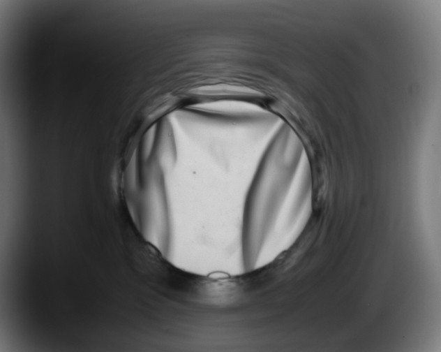 X0000087560333200705251805
