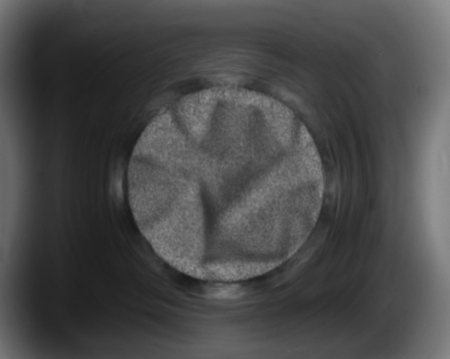 X0000087560334200705251805