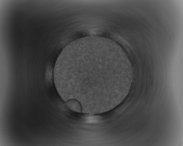X0000087560336200705251805