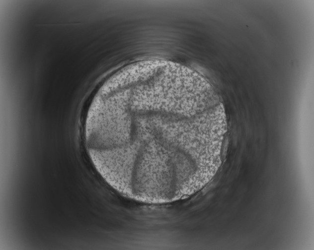 X0000087560338200705251804