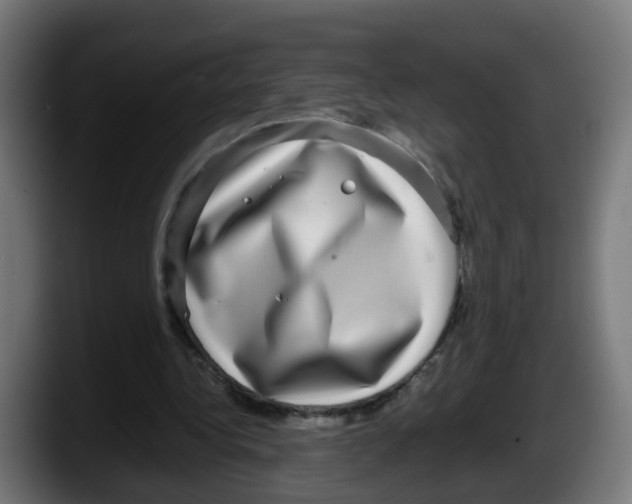 X0000087560340200705251805