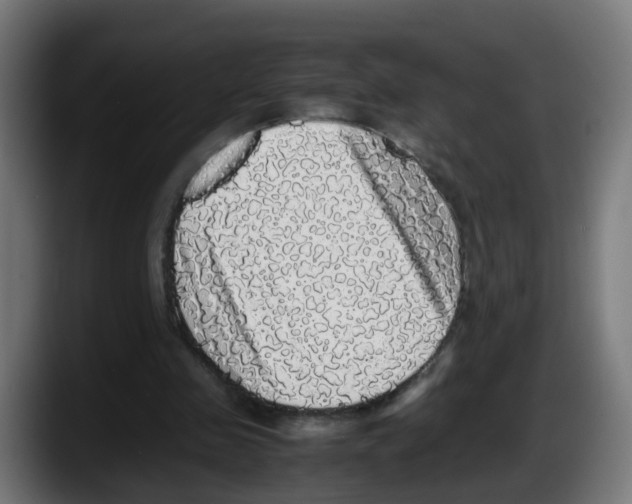 X0000087560341200705251805